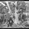 Neil Morcom (left) and Charlie Murray (right) engaged in shield construction from mangroves near Settlement Point Port Macquarie.