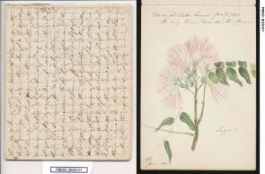 Photo of Annabella Boswell's Papers