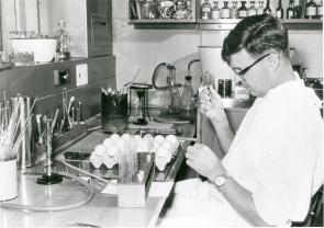 Professor Frank Fenner in the laboratory. Australian National University Archives